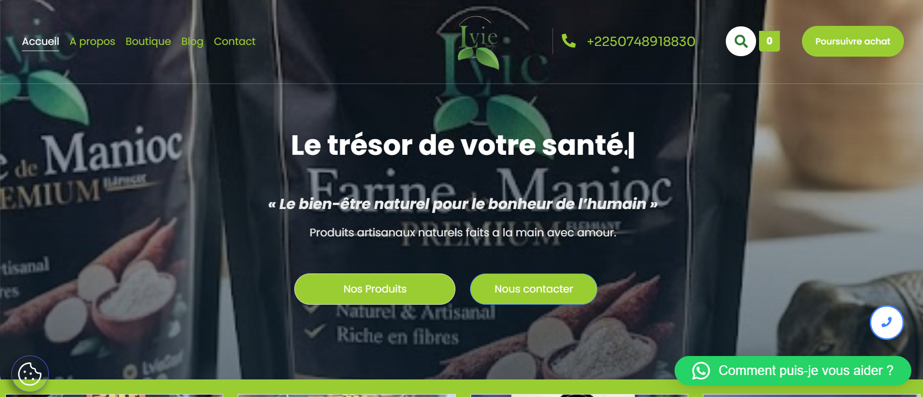 Création du site institutionnel de LvieSarlu